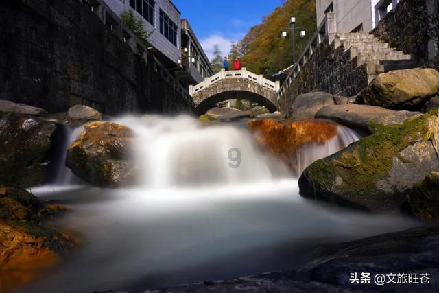 探索知识星球平台,尽览蜡梅花和腊梅花的区别魅力